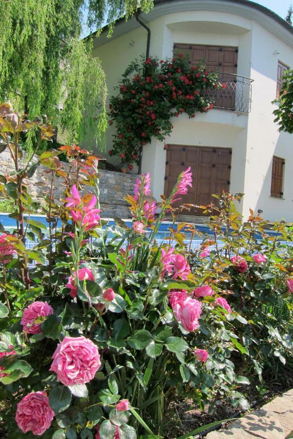 Villa Sommer Portaria  Luaran gambar